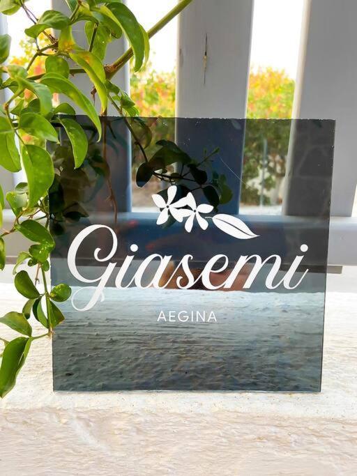 Вілла Giasemi Aegina, Modern House Екстер'єр фото
